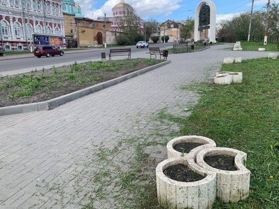 В Курске клумбы в сквере на Сонина украсят 14063 петуниями
