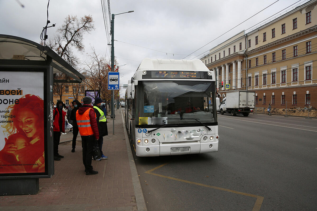 Мк авто воронеж