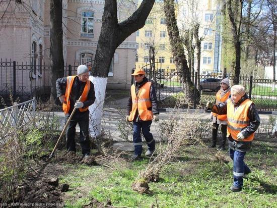 55 кустов кизильника высадили на площади Победы в Рязани