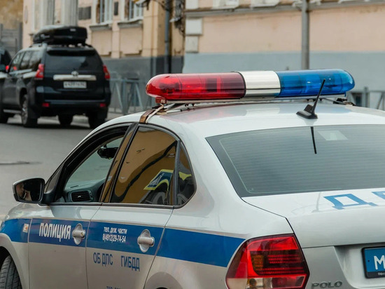 На майских праздниках полиция Рязани будет проводить рейды по нетрезвым водителям