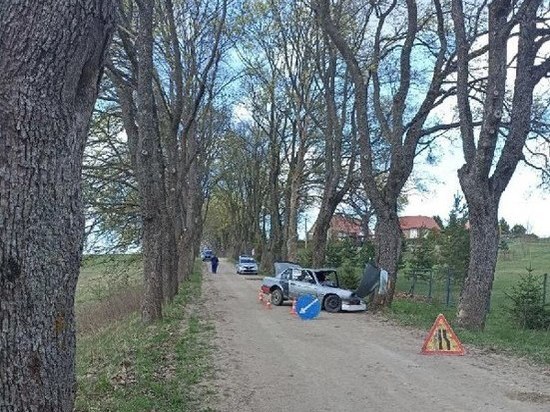 В Нестеровском районе 21-летний водитель «БМВ» врезался в дерево