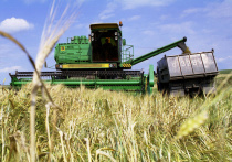 Несмотря на то, что российская пшеница дешевле, чем зерно из других стран, государства-импортеры не стремятся ее закупать и отдают предпочтение более дорогим вариантам