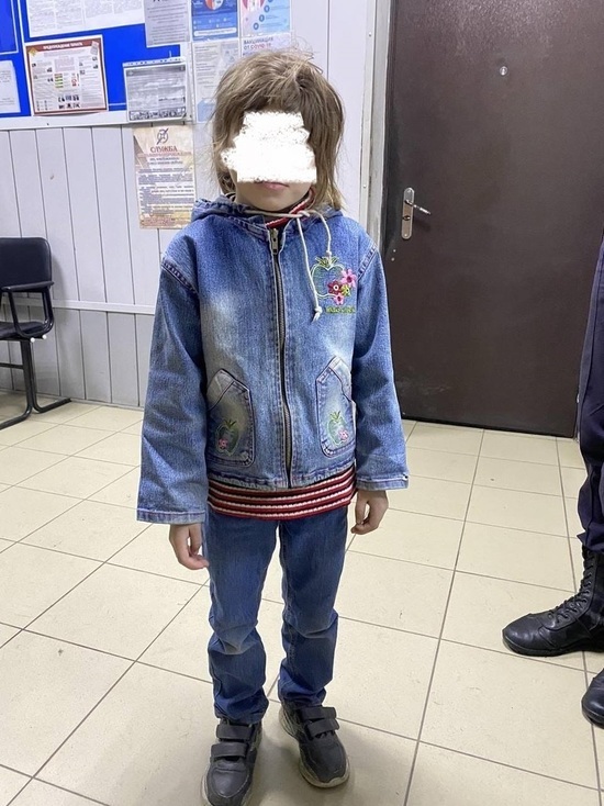 В Красноярске на улице Гусарова была обнаружена маленькая девочка в 4 часа утра