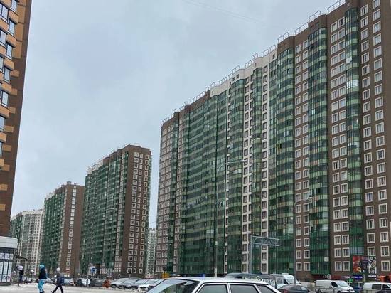 Ветреная погода продержится в Ленобласти 30 апреля