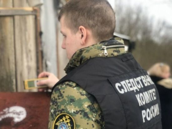 Житель Окуловского района отправится в колонию на 11 лет за убийство сожителя бывшей жены