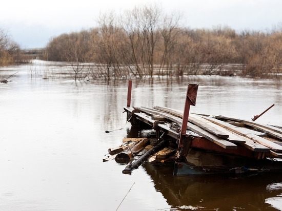 Уровень паводковых вод в Смоленской области стал снижаться