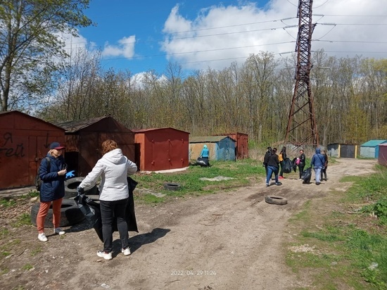 В Курске провели экологическую акцию в урочище «Крутой Лог»