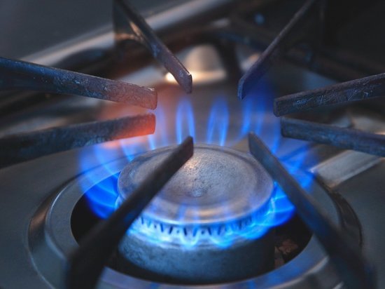 В Смоленске установщик газоанализаторов украл у хозяйки 130 тысяч рублей