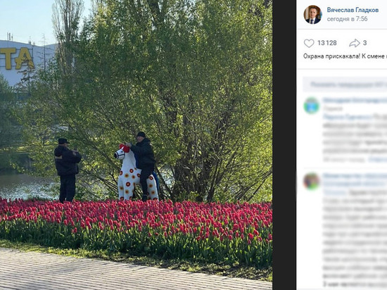 Белгородский губернатор запечатлел фотосессию охранников на игрушечной лошади