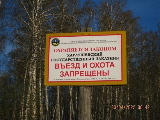 В Челябинской области поймали рыбаков-браконьеров