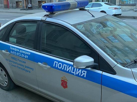 Мигрант попался в руки полицейских с 300 пакетами наркотиков на проспекте Художников