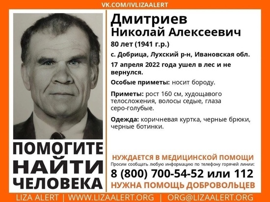 Ивановского пенсионера, ушедшего в лес, не могут найти больше двух недель