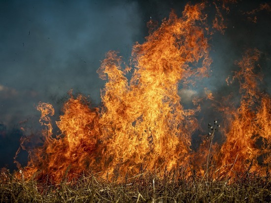 Больше 100 тысяч гектаров сухой травы сгорело в Забайкалье с начала года