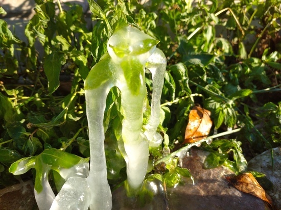 В Луганске ночью ожидают заморозки