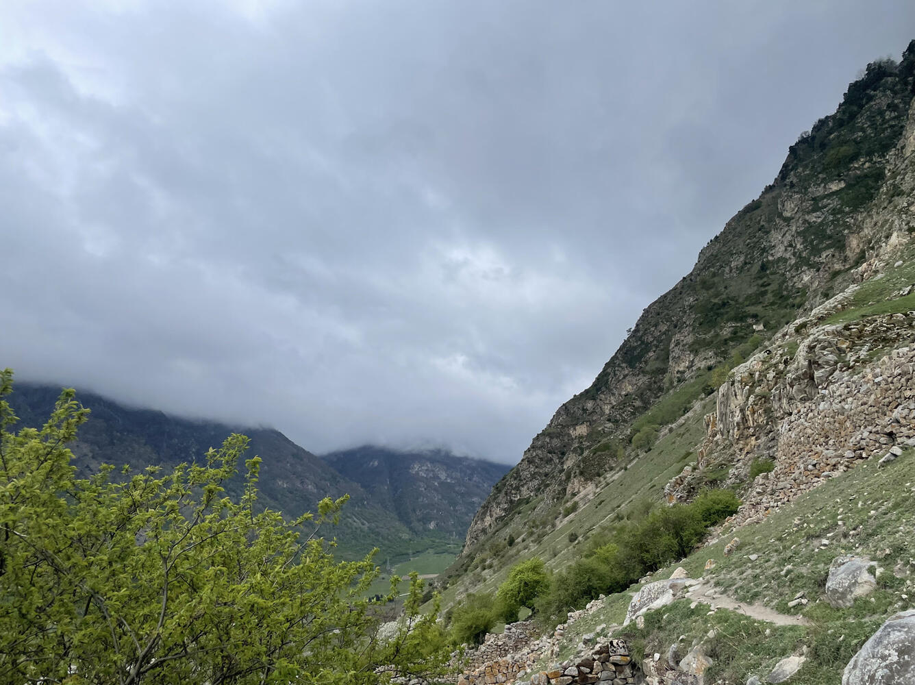 Плато царицы Тамары Кабардино Балкария
