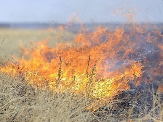 Продолжается тушение сухой травы в Калининградской области