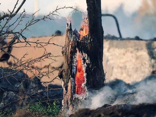 Лесной пожар в Минусинском районе был локализован на площади 500 га