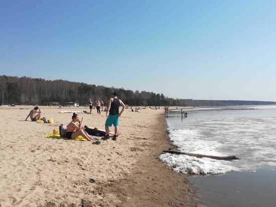 Благоустройство Центрального пляжа в Академгородке Новосибирска находится под вопросом