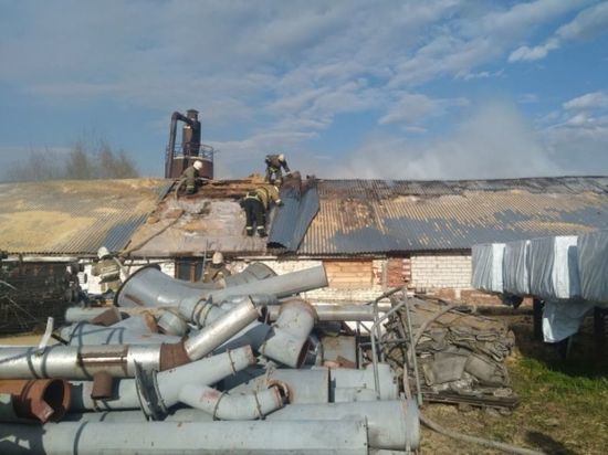 Под Владимиром сгорела пилорама: есть пострадавшие