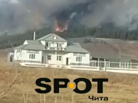 Лесной пожар тушат возле Петровск-Забайкальского
