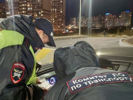 Инспекторы проверили 22 такси во время ночного рейда в Мурино