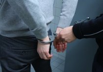 В Петербурге сотрудники Росгвардии задержали двух злоумышленников, похитивших из магазина сигареты. Об этом сообщили в пресс-службе вневедомственной охраны.