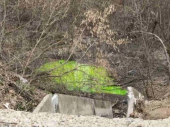 В Ижевске вода в одном из ручьев стала ярко-зеленой
