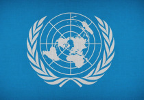 Индия и Дания обьявили о готовности работать над реформированием Организации Объединенных Наций (ООН)