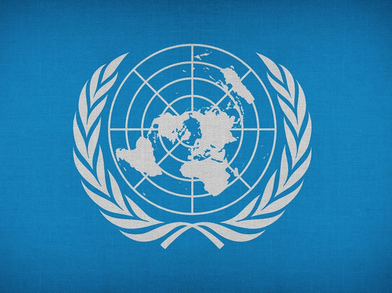 Индия и Дания подтвердили готовность работать над реформированием ООН