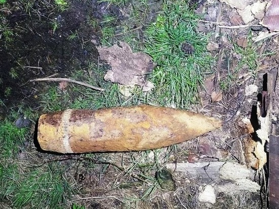 Мины, гранаты, бомбы: в Петербурге и Ленобласти нашли более десятка опасных предметов за праздники