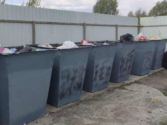 В Воронежской области флаги западных стран на мусорных баках закрасили