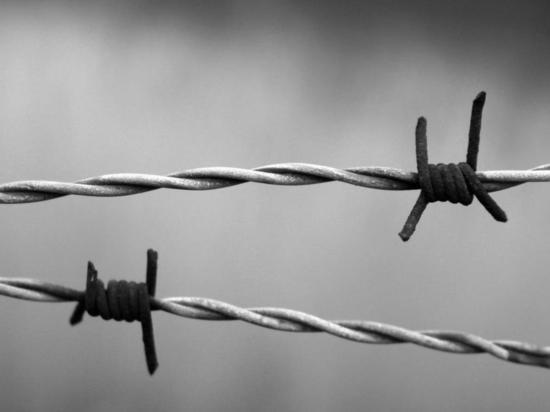 РИА "Новости": российские военные нашли пыточную под Херсоном