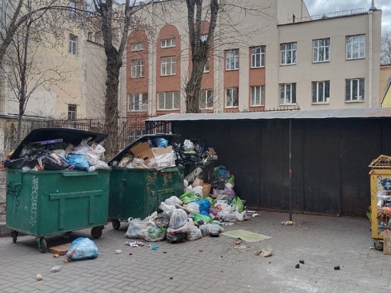 В администрации Центрального района объяснили скопившиеся за майские праздники мусорные завалы