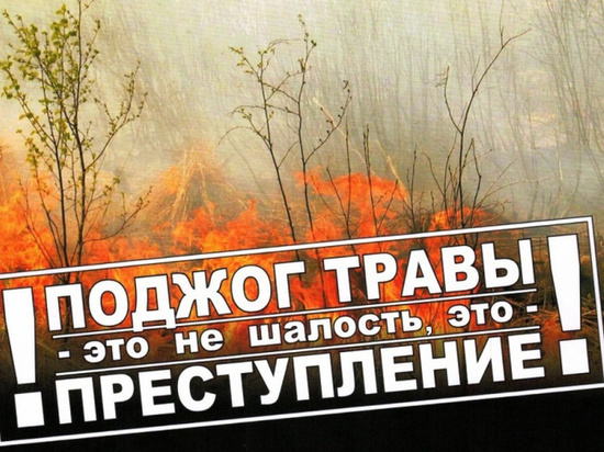 В Ярославской области юза сутки возникло 55 пожаров из-за пала травы