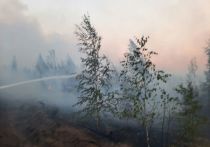 На территории Новосибирской площади зафиксировано пять лесных пожаров