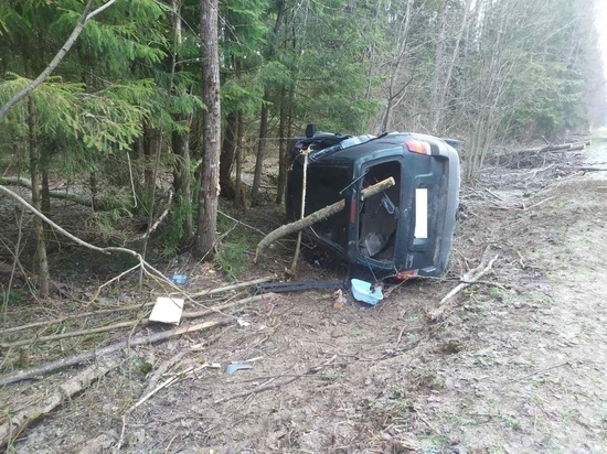 В Тверской области водитель вылетел в кювет и врезался в дерево