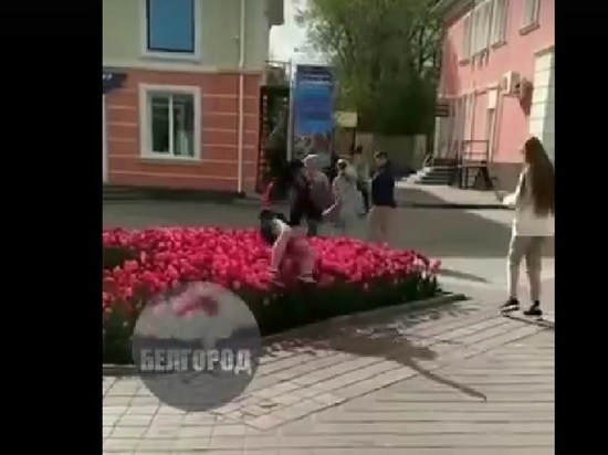 Упавший в клумбу с тюльпанами ради забавы мужчина вызвал недоумение у мэра Белгорода и горожан