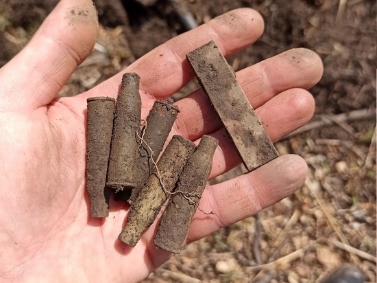 В Приморье поисковики нашли артефакты на месте кровопролитного боя Гражданской войны