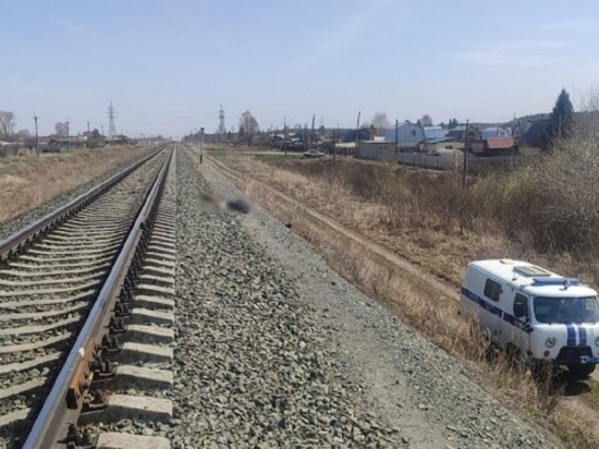 Мужчина погиб под колесами поезда в Алтайском крае