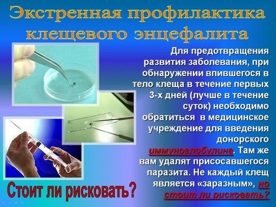Профилактика клещевого энцефалита и других заболеваний, вызываемых клещами, особенно важно в начале весенне-летнего сезона