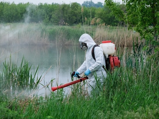 В Волгоградской области планируют обработать от комаров 164 водоема