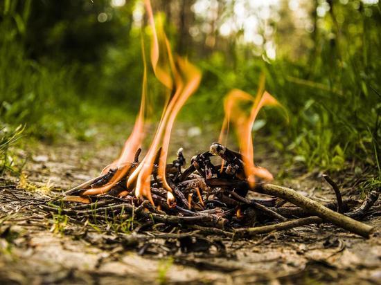 Более 350 гектаров сухой травы сгорело в Забайкалье за сутки