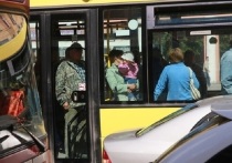 С 4 мая автобусный маршрут №119, следующий от улицы Солнечная Поляна до садоводства «Степное -2», изменил схему движения