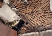 Утром 5 мая в Барнауле в одной из квартир на улице Профинтерна, 46а, рухнул чердак, сообщает пресс-служба мэрии города