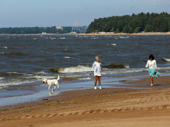 Пляжи Петербурга подготовят к летнему сезона до конца мая