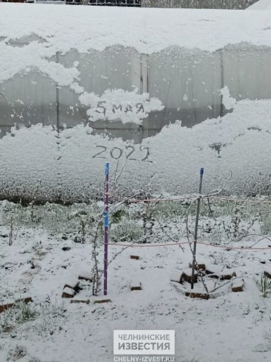 Майский снегопад поразил жителей Татарстана