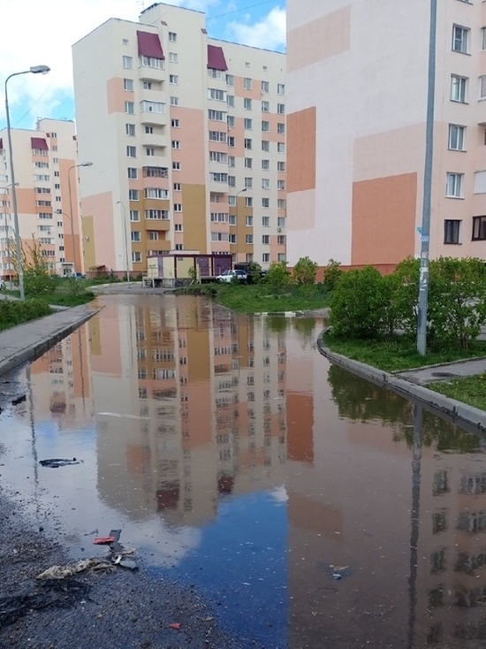 Пензенцы просят запустить в городские лужи рыбу