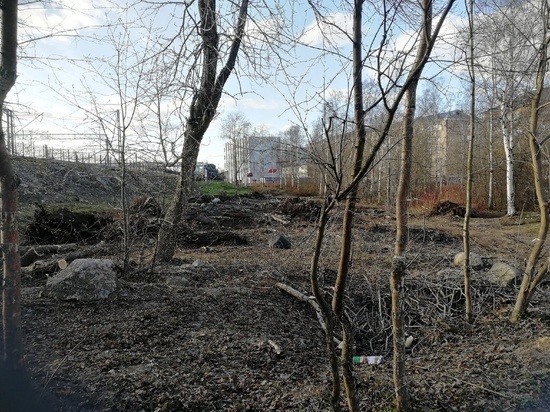 Парк рядом с железной дорогой в Петрозаводске начали вырубать