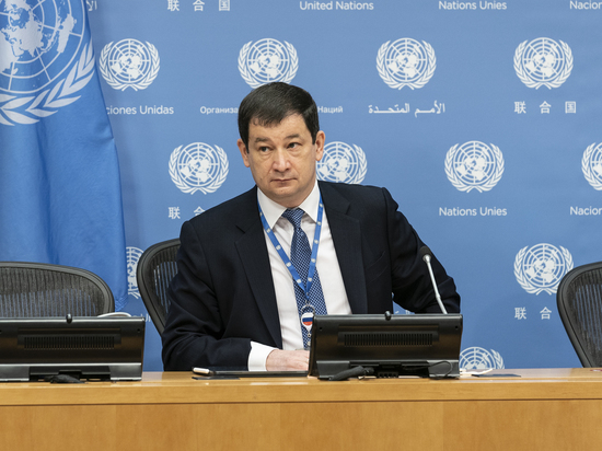 Россия в пятницу представит в ООН свидетельства преступлений ВСУ против мирных жителей