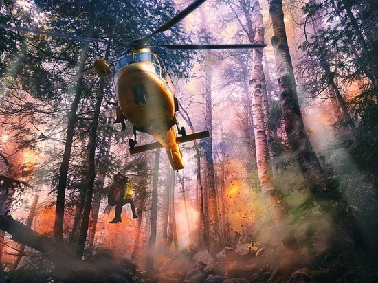 Забайкалец выплатит 68 тысяч рублей за поджог леса в Акшинском районе